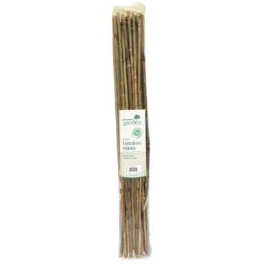 20pk 60cm Bamboo Canes