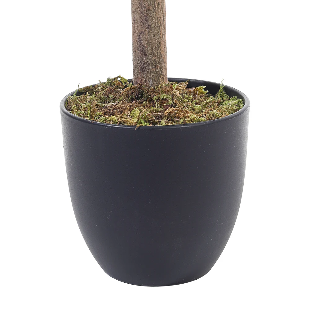 Breeins Schefflera Arboricola Tree in Pot for Decoration - Image 4