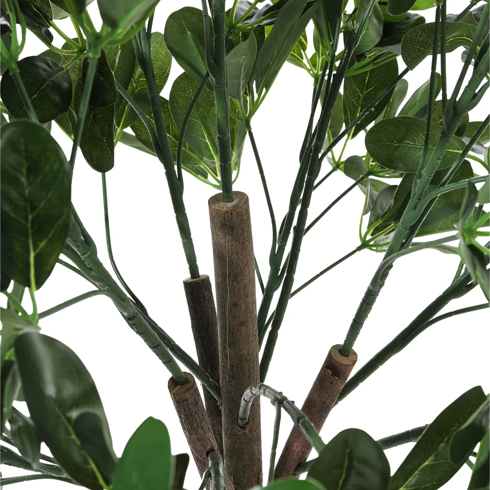 Breeins Schefflera Arboricola Tree in Pot for Decoration - Image 5