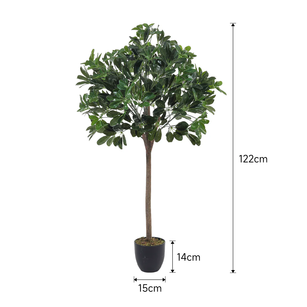 Breeins Schefflera Arboricola Tree in Pot for Decoration - Image 7