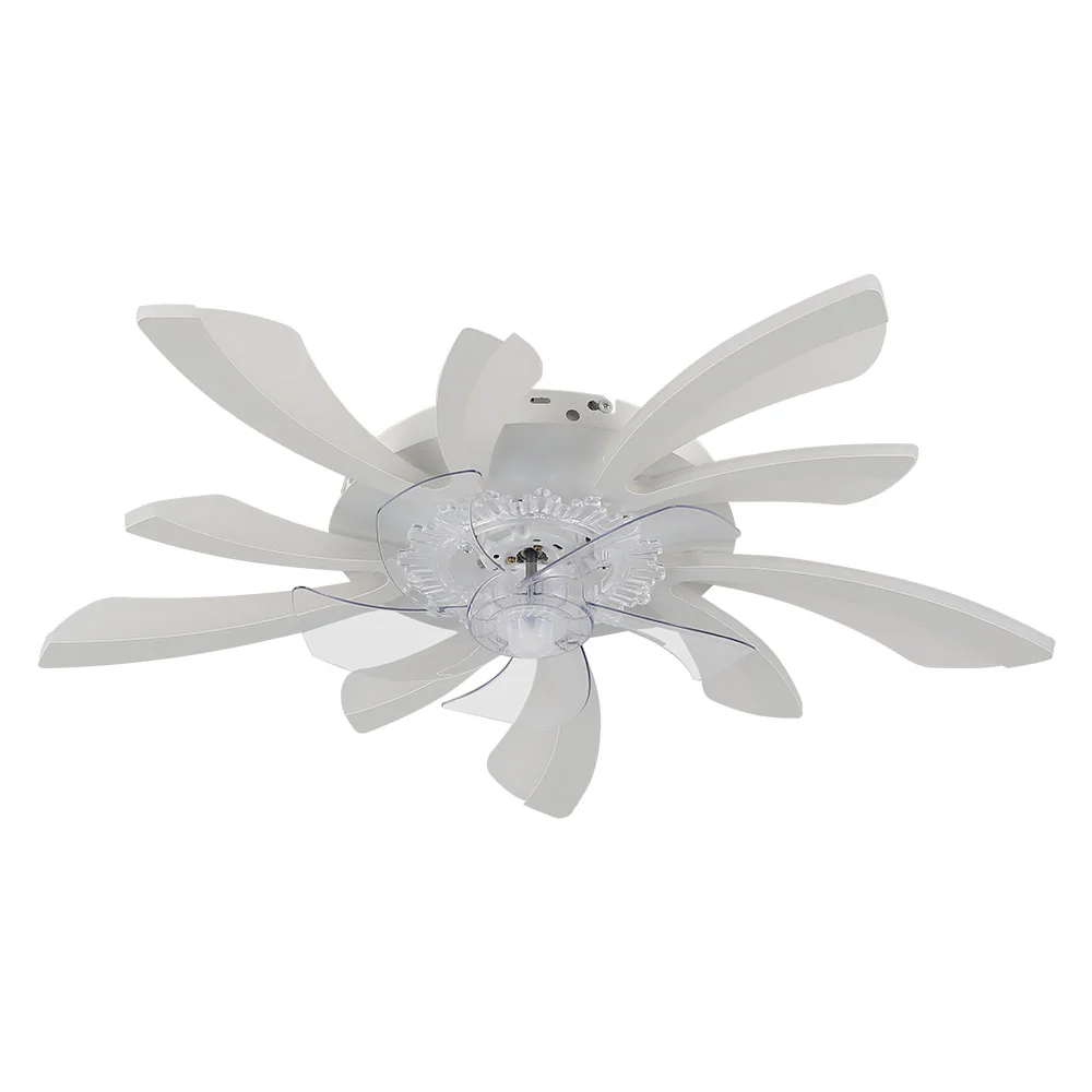 Cottonfy UK Reversible Motor Ceiling Fan with LED Light - Image 7