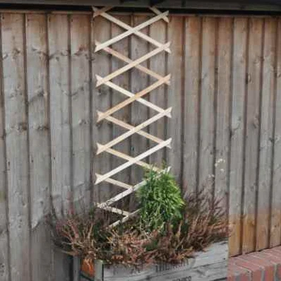 Garden Trellis 6ft X 1ft