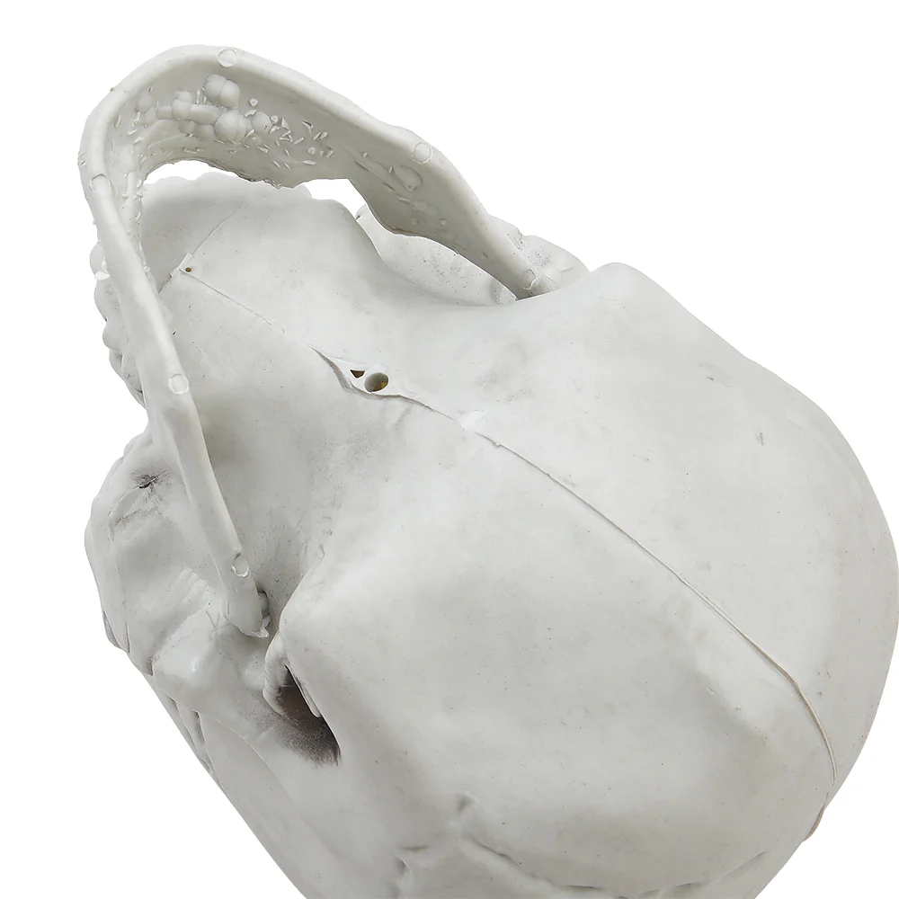Halloween Realistic Plastic Skull Tabletop Decoration - Image 3