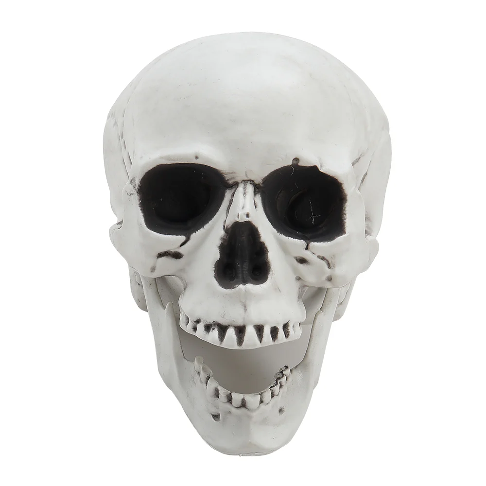 Halloween Realistic Plastic Skull Tabletop Decoration - Image 5