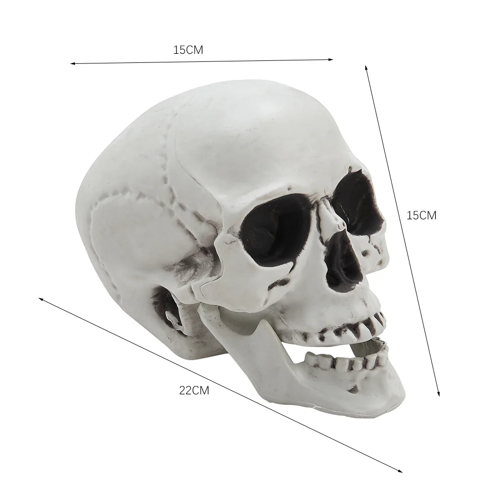 Halloween Realistic Plastic Skull Tabletop Decoration - Image 7
