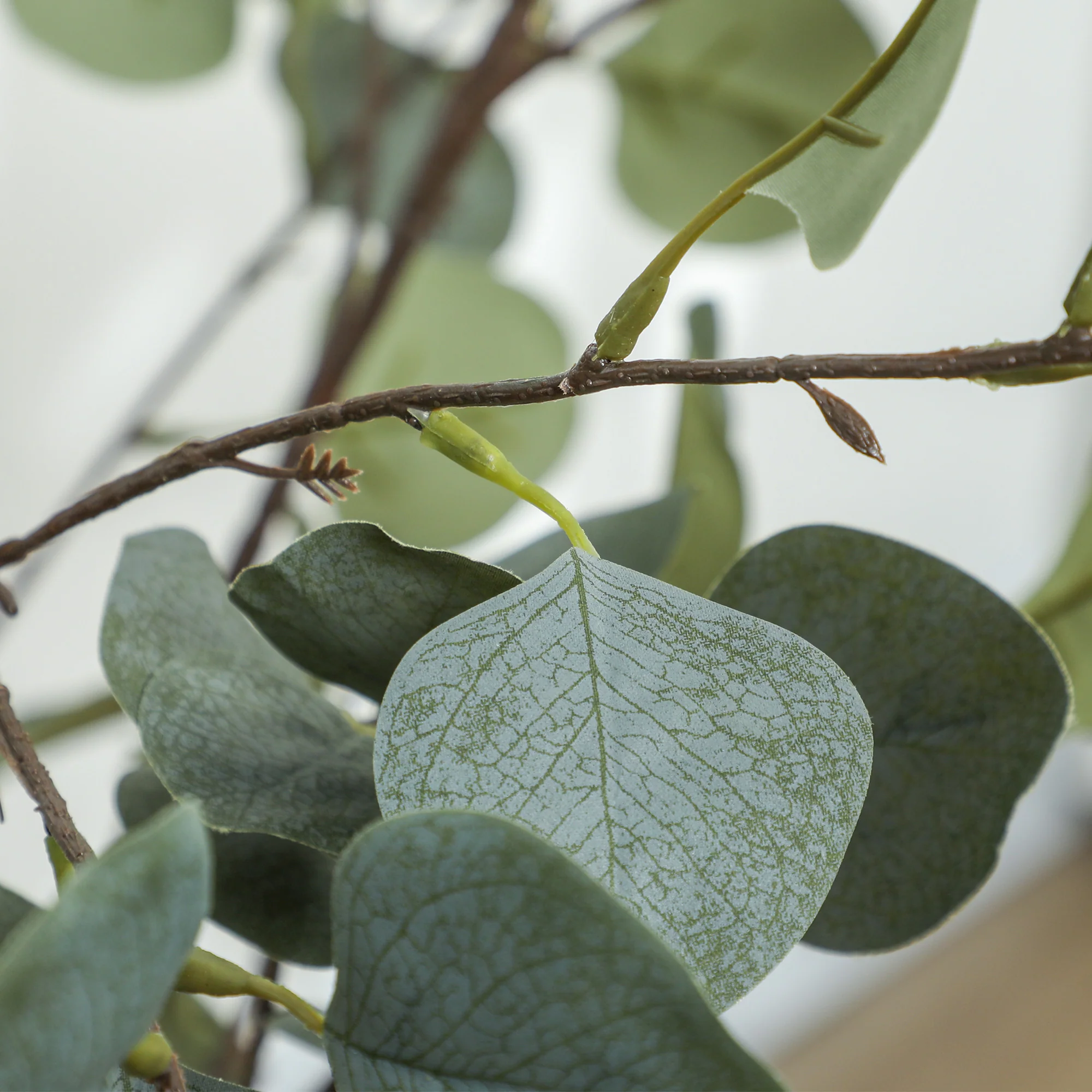 HOMCOM 2 Pack Artificial Plants, Faux Silk Eucalyptus Trees, 120cm - Image 9