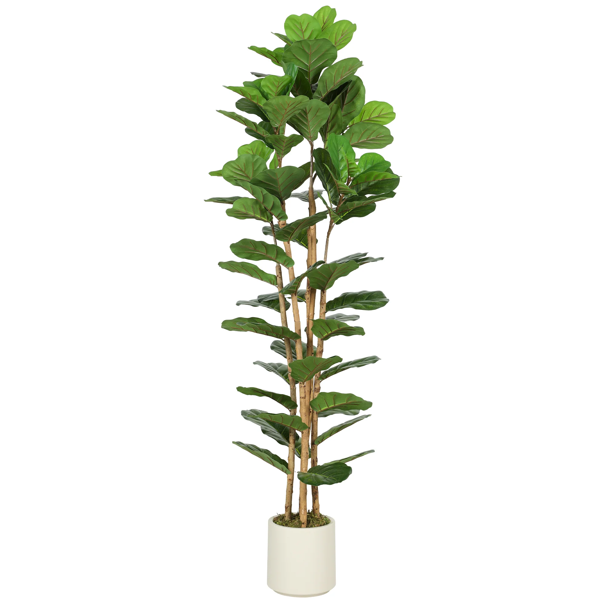 HOMCOM Artificial Fiddle Leaf Fig Tree With Solid Wood Trunks - Image 10