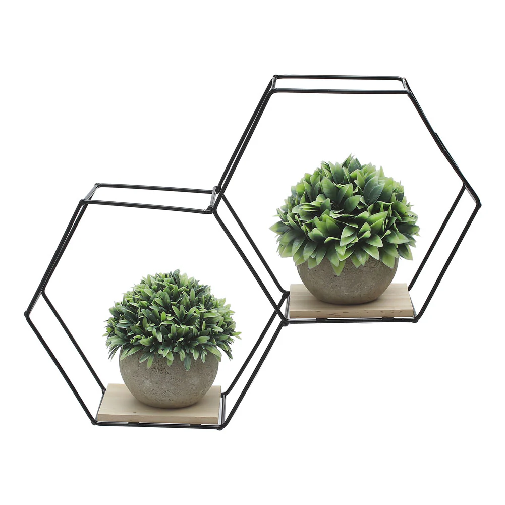 Livingandhome Modern Hexagon Wall Shelf with Iron Frame