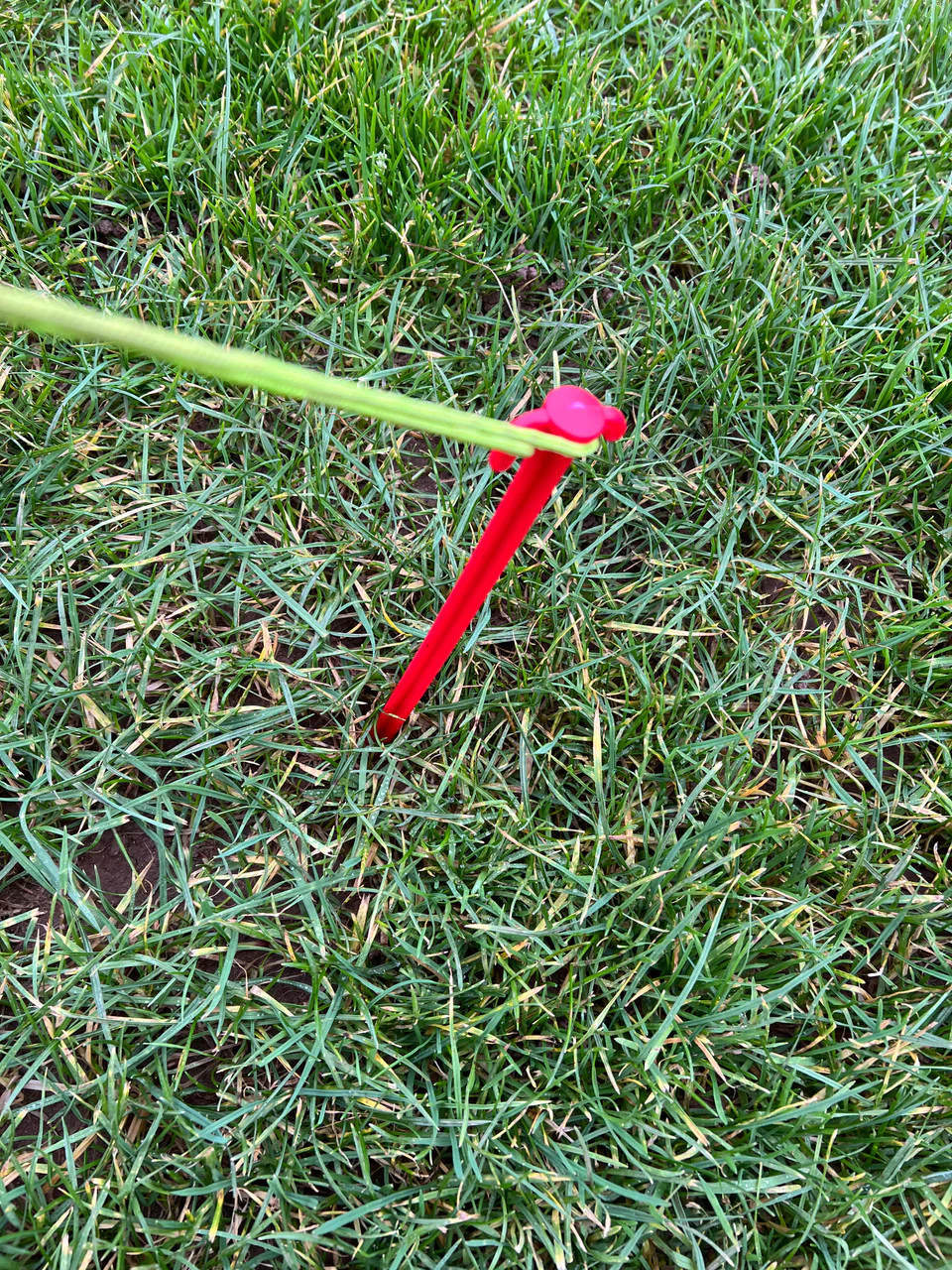 Pack of 6 Extra long 30cm Plastic Tent Pegs - Image 2