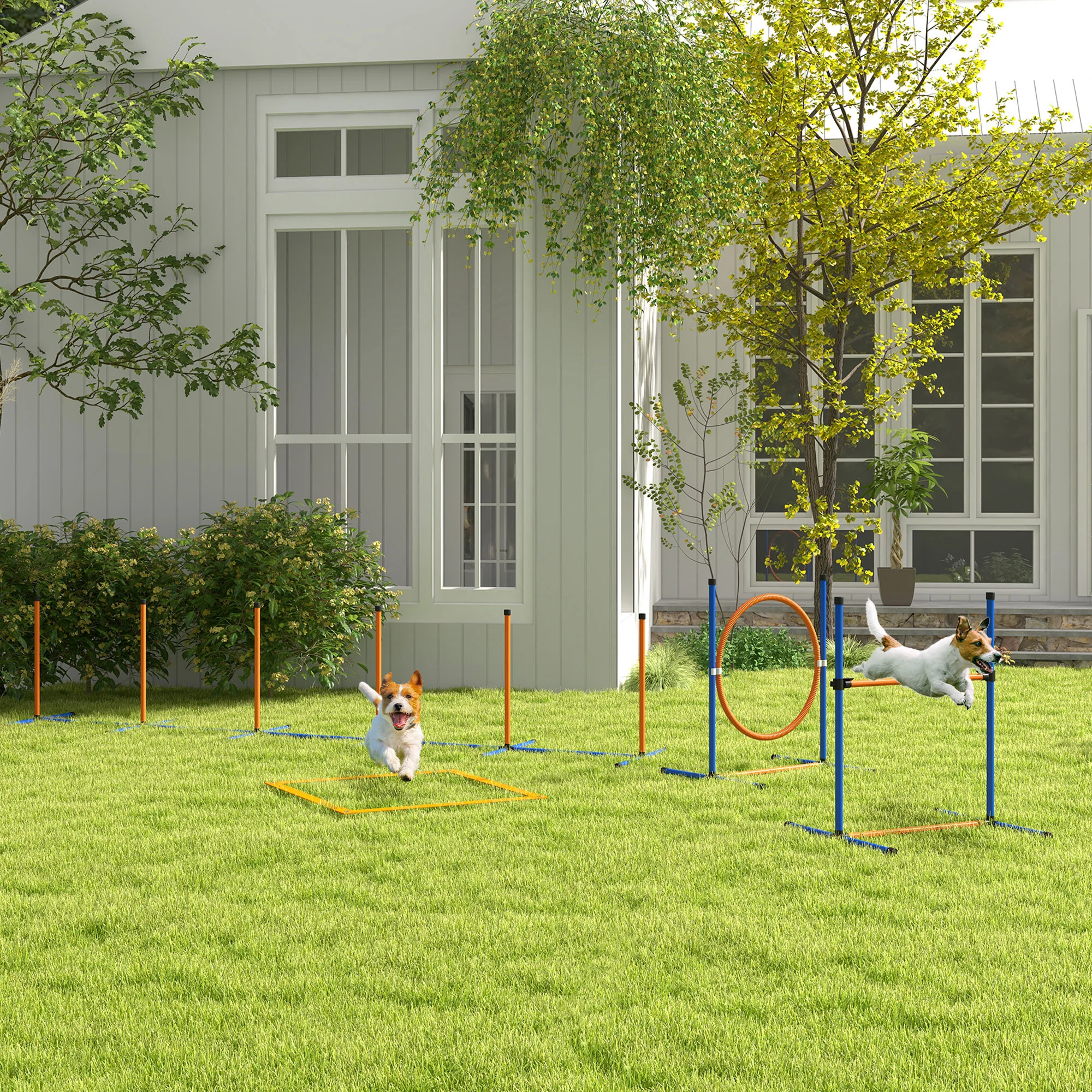 PawHut 8 Piece Dog Agility Equipment Set, Outdoor Agility Kit for Pet, Orange - Image 2