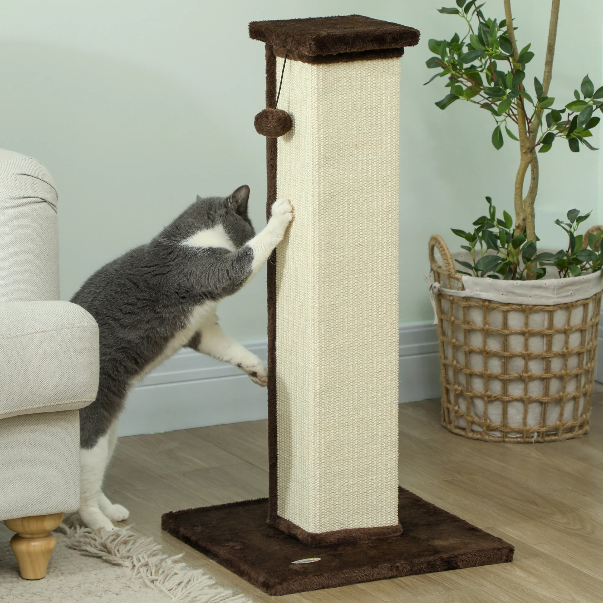PawHut 81cm Cat Scratching Post w/ Sisal Rope, Hanging Ball Soft Plush - Image 7