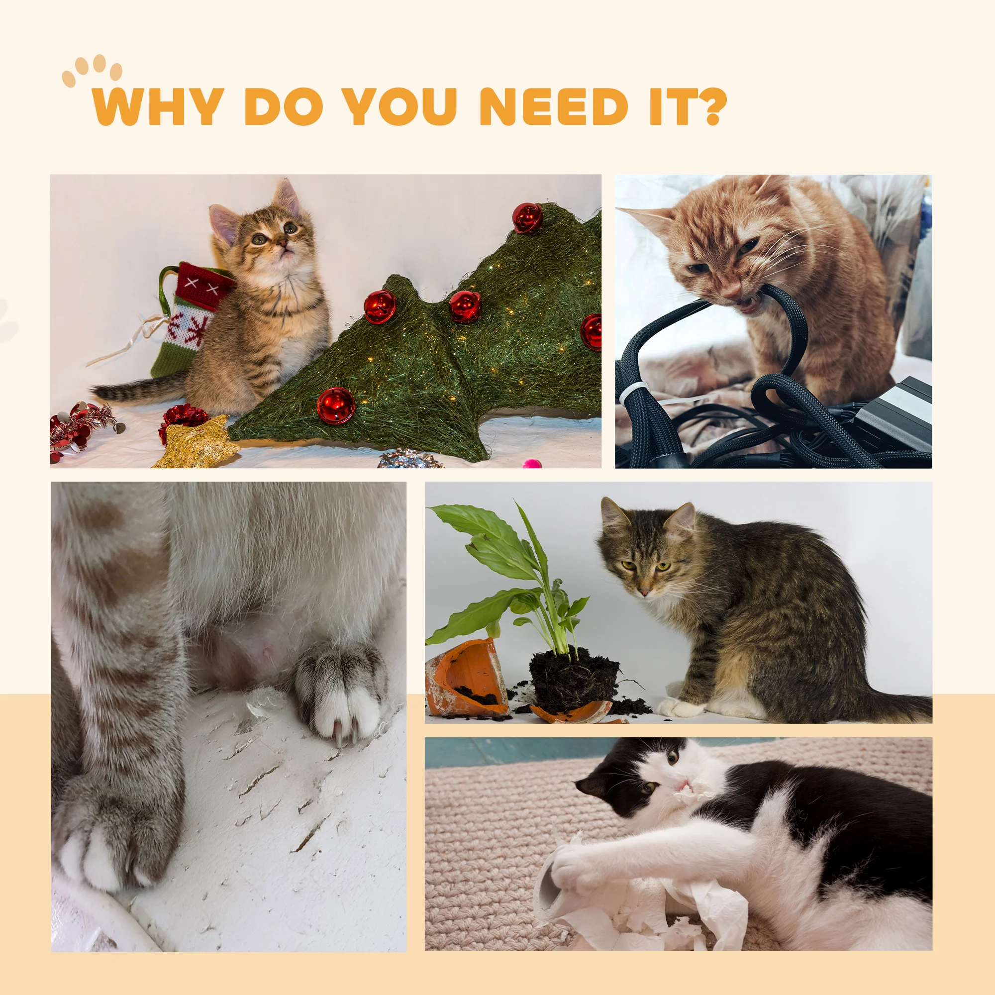 PawHut Cat Wheel With Brake, Scratching Pads For Health - Image 17
