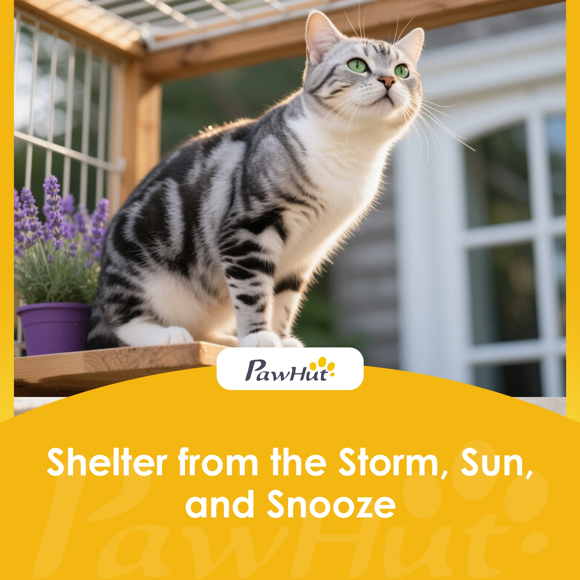 PawHut Outdoor Cat House Insulated Wooden Feral Cat Shelter w/ Openable Roof - Image 9