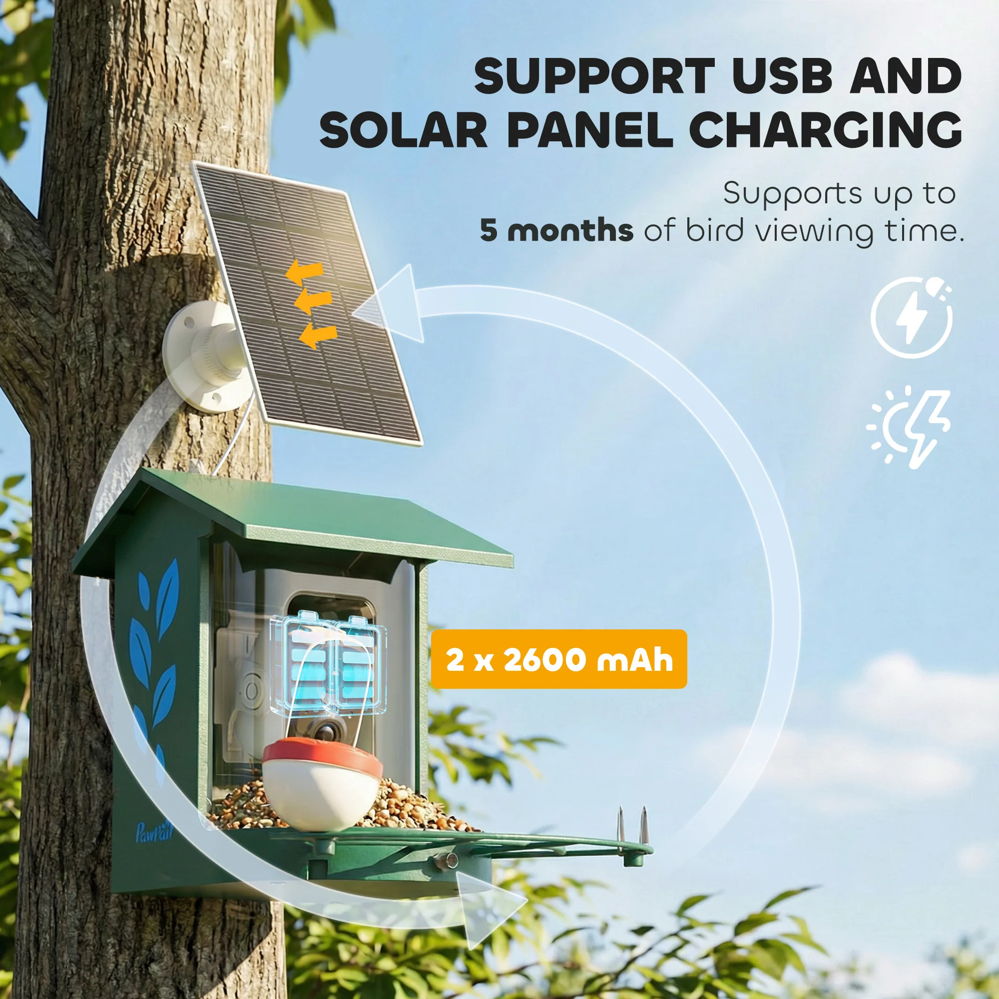 PawHut Smart Bird Feeder Camera With AI Identifies 16,000+ Bird Species - Image 8