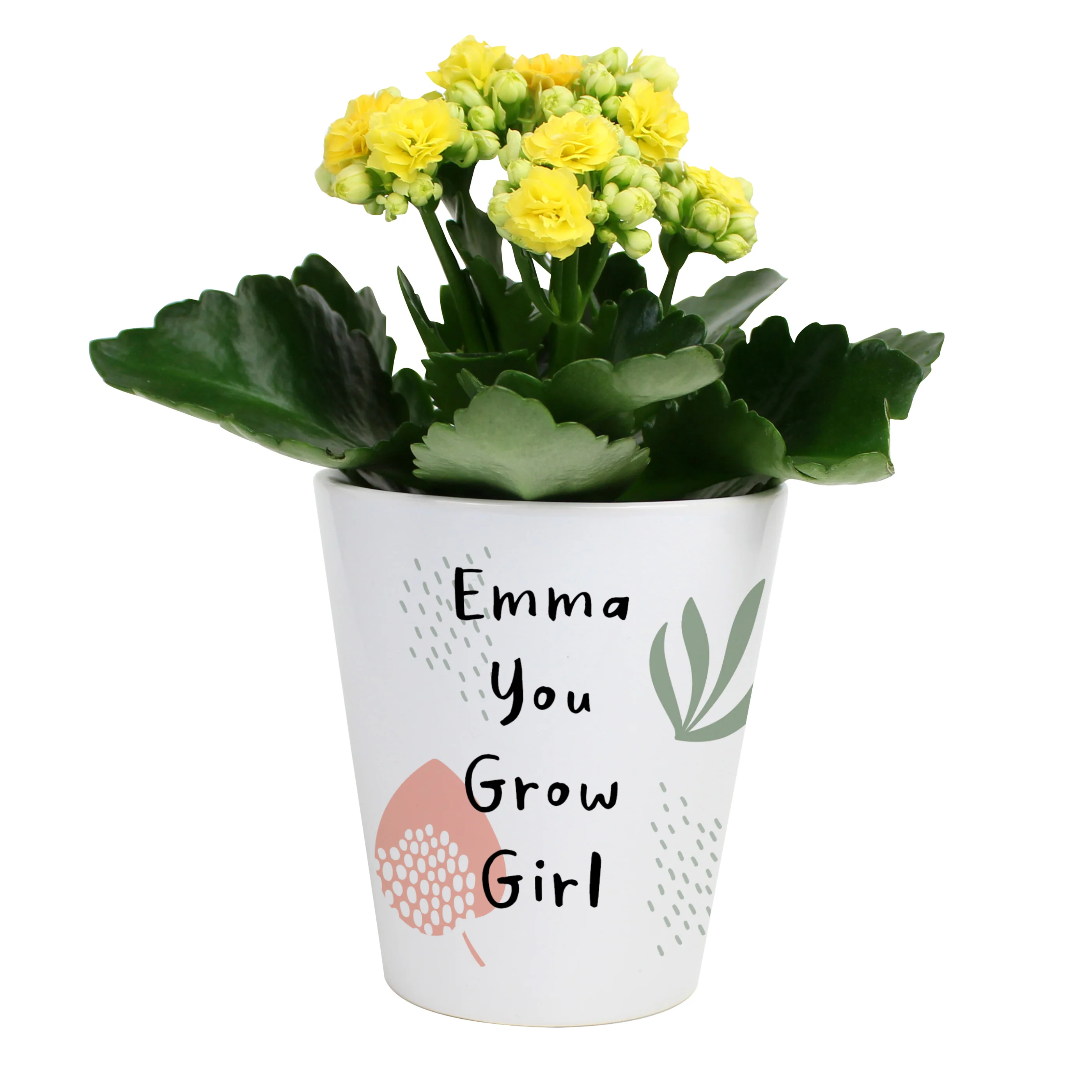 Personalised Abstract Pattern Plant Pot - Image 2