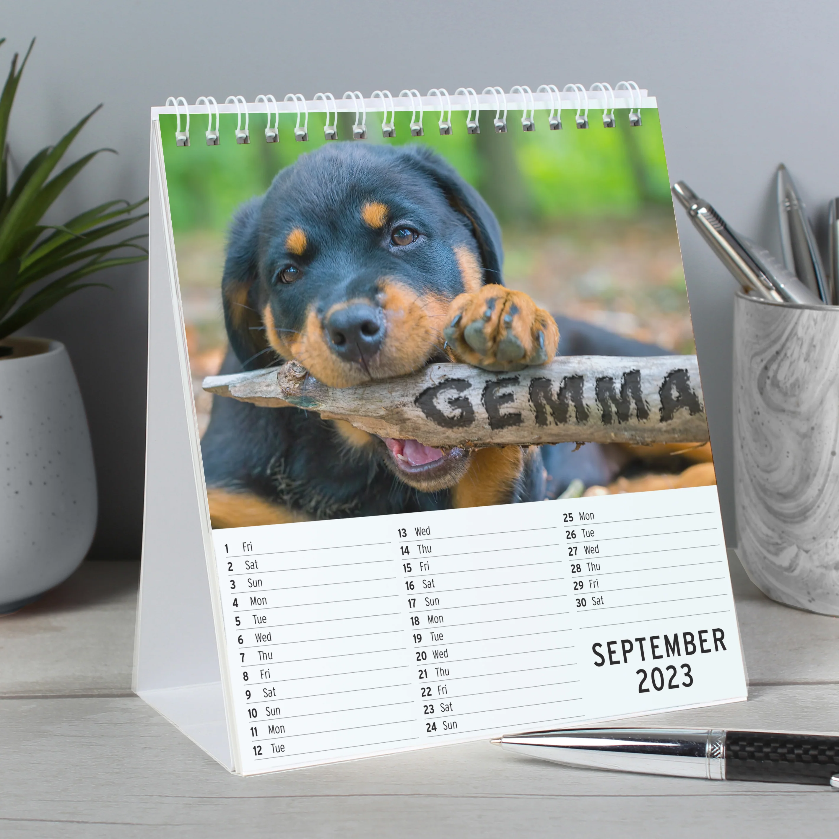 Personalised Barking Mad Dog Desk Calendar - Image 4