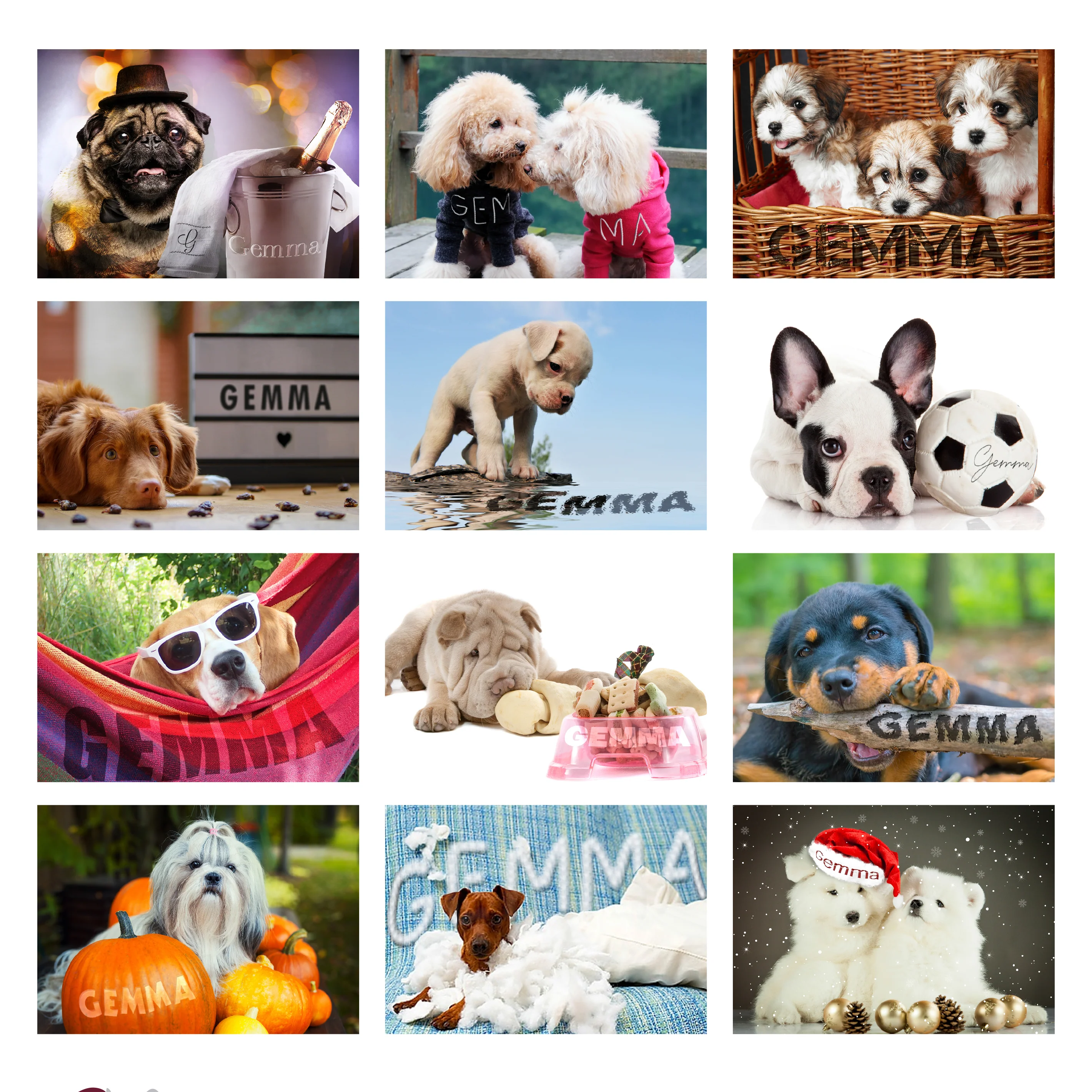 Personalised Barking Mad Dog Desk Calendar - Image 6