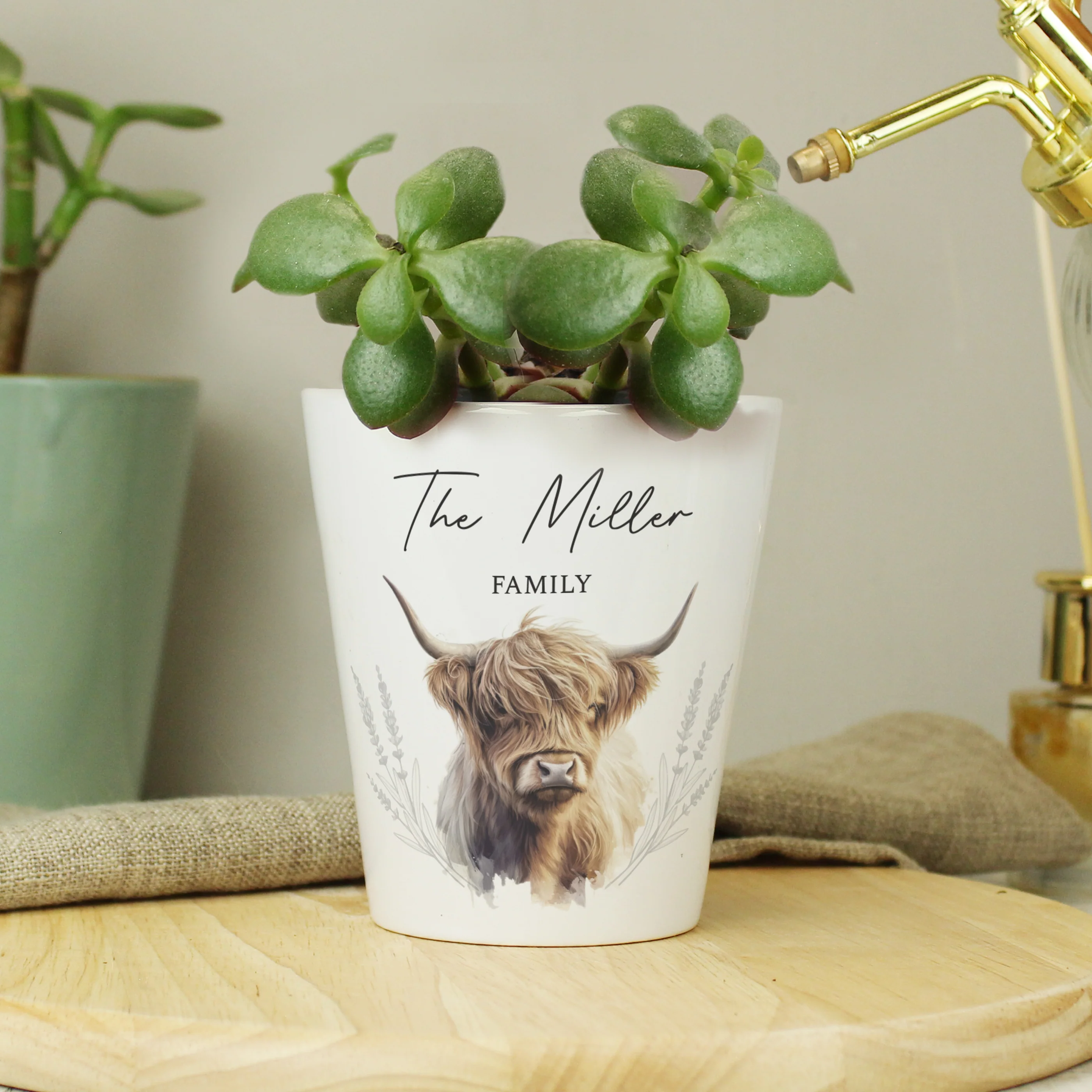 Personalised Highland Cow Plant Pot - Image 5