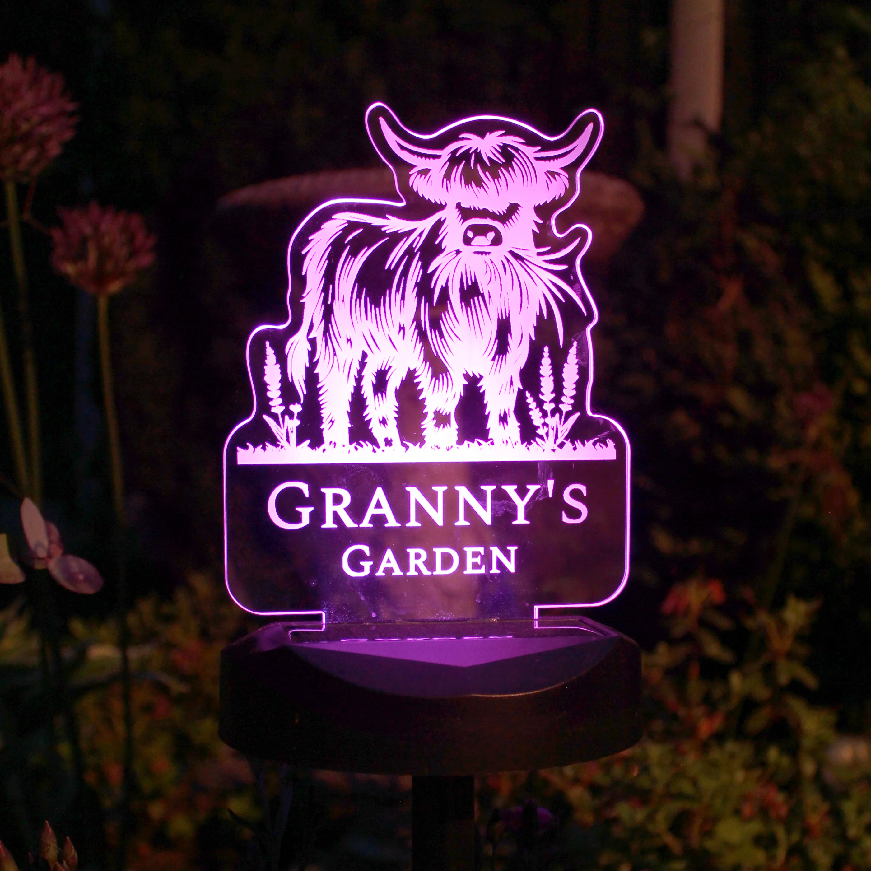Personalised Highland Garden Solar Light - Image 7