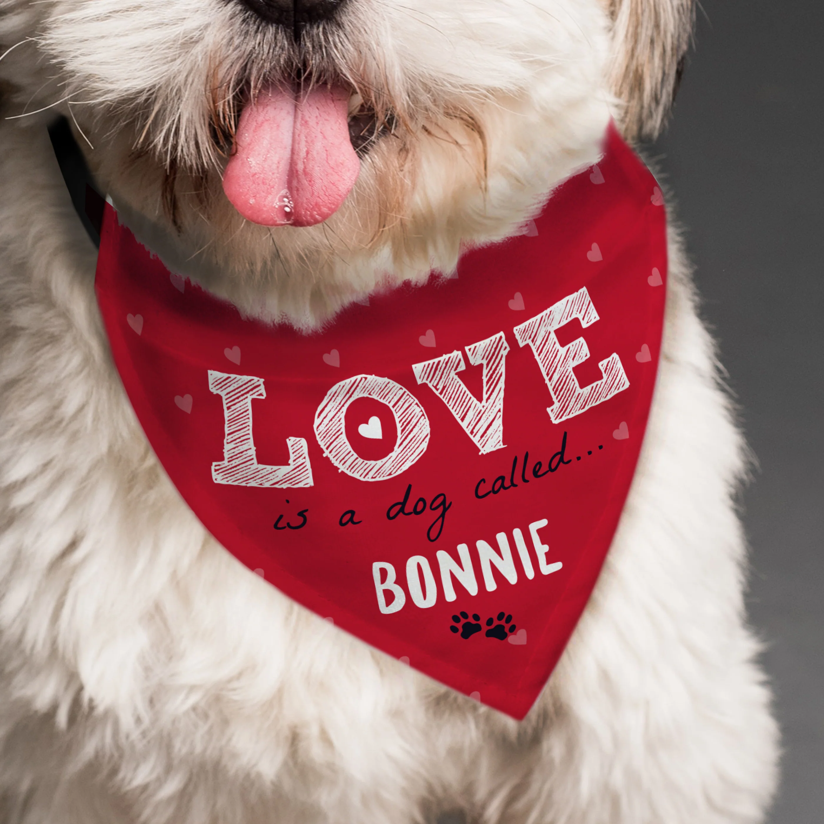Personalised Love is... Dog Bandana - Image 4