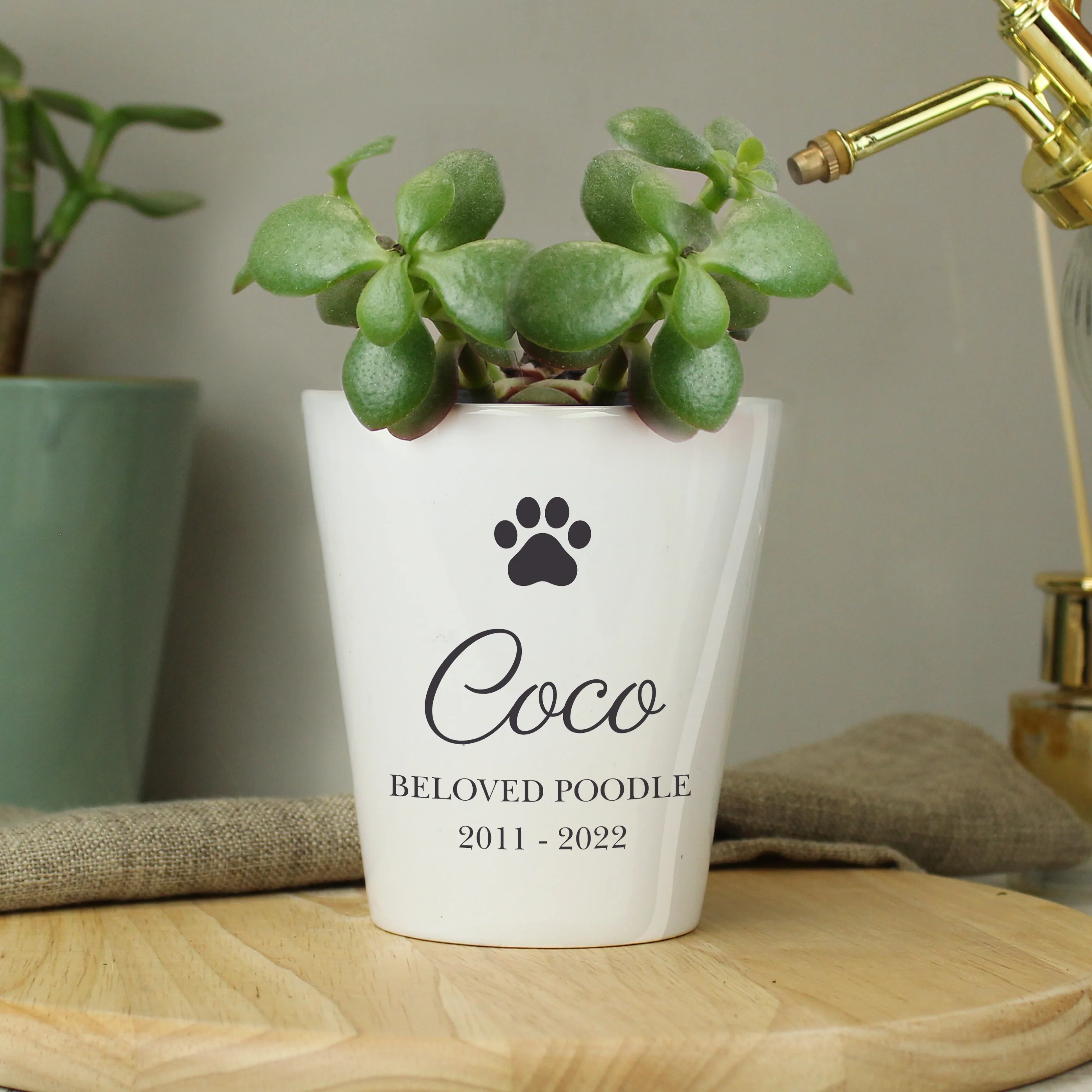 Personalised Paw Print Plant Pot - Image 2
