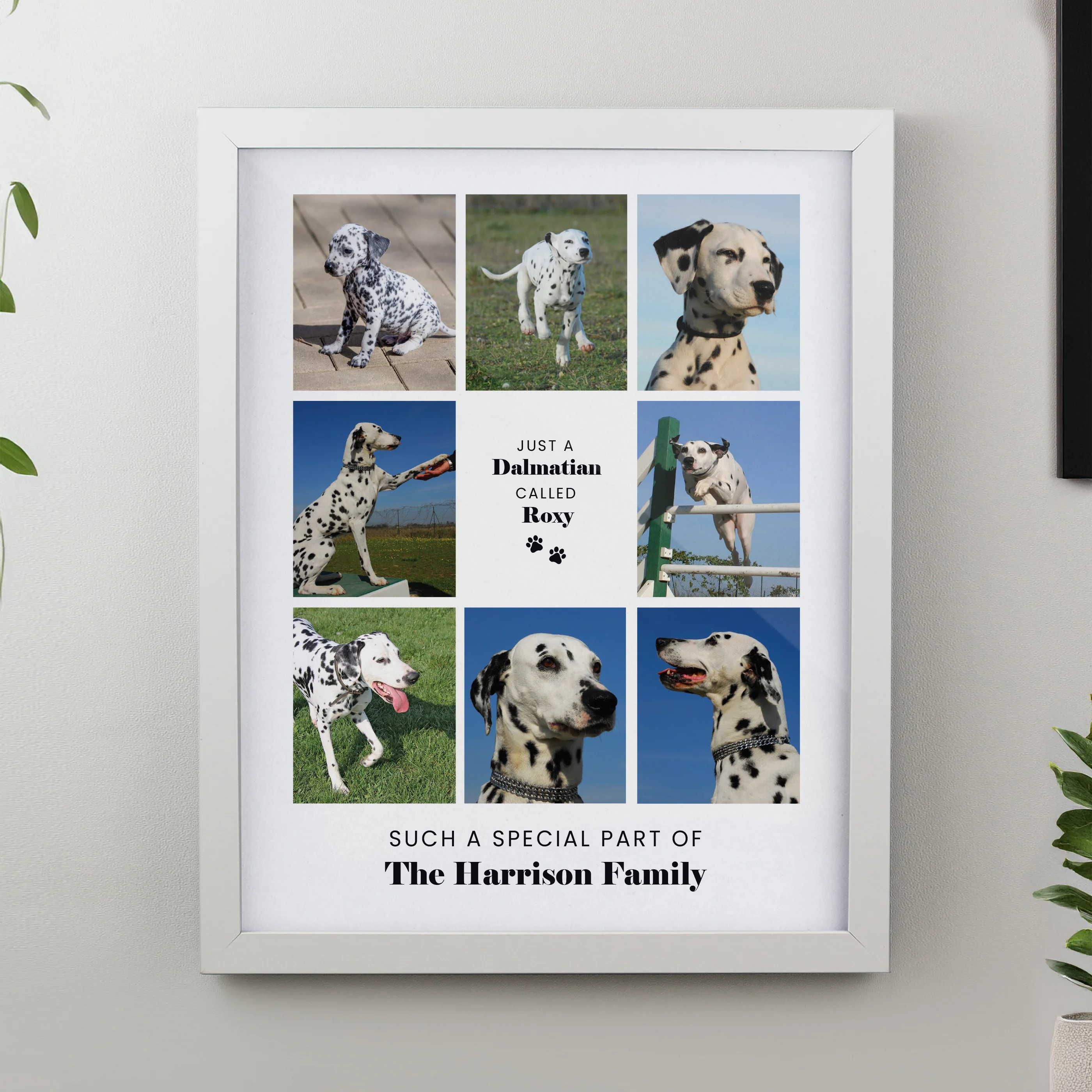Personalised Pet Multi Photo Upload White Framed Print - Image 3