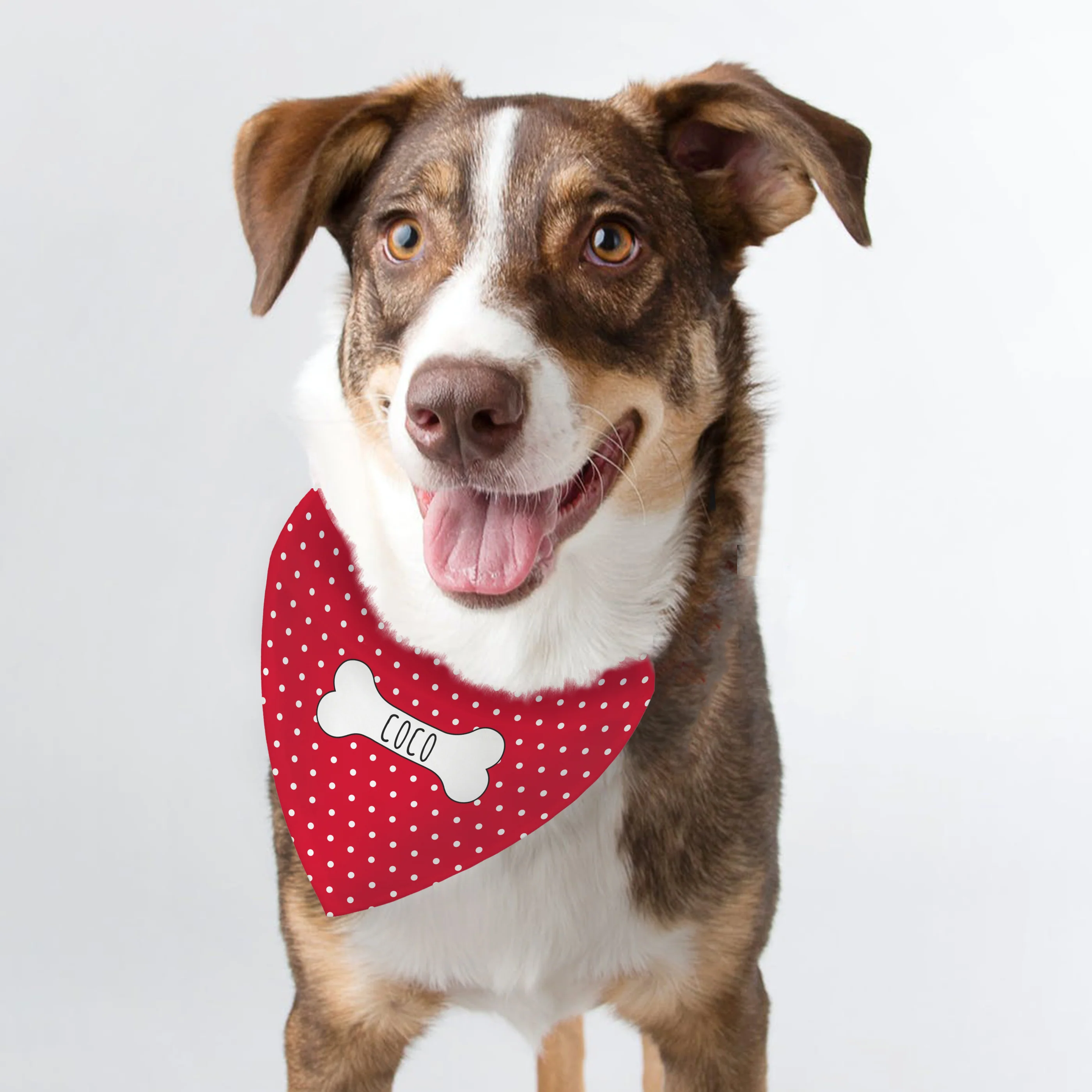 Personalised Red Polka Dot Dog Bandana - Image 3