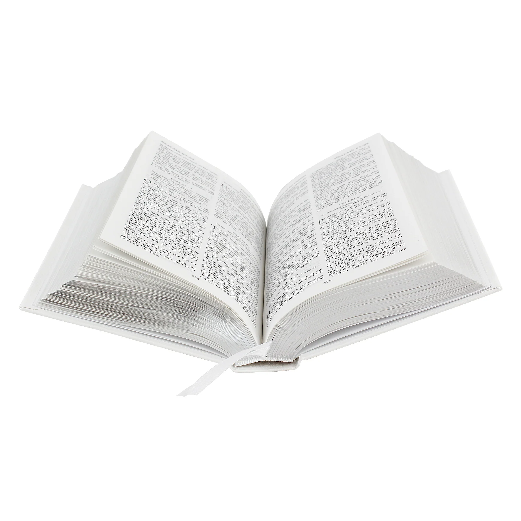 Personalised Silver Companion Holy Bible - Eco-friendly - Image 6