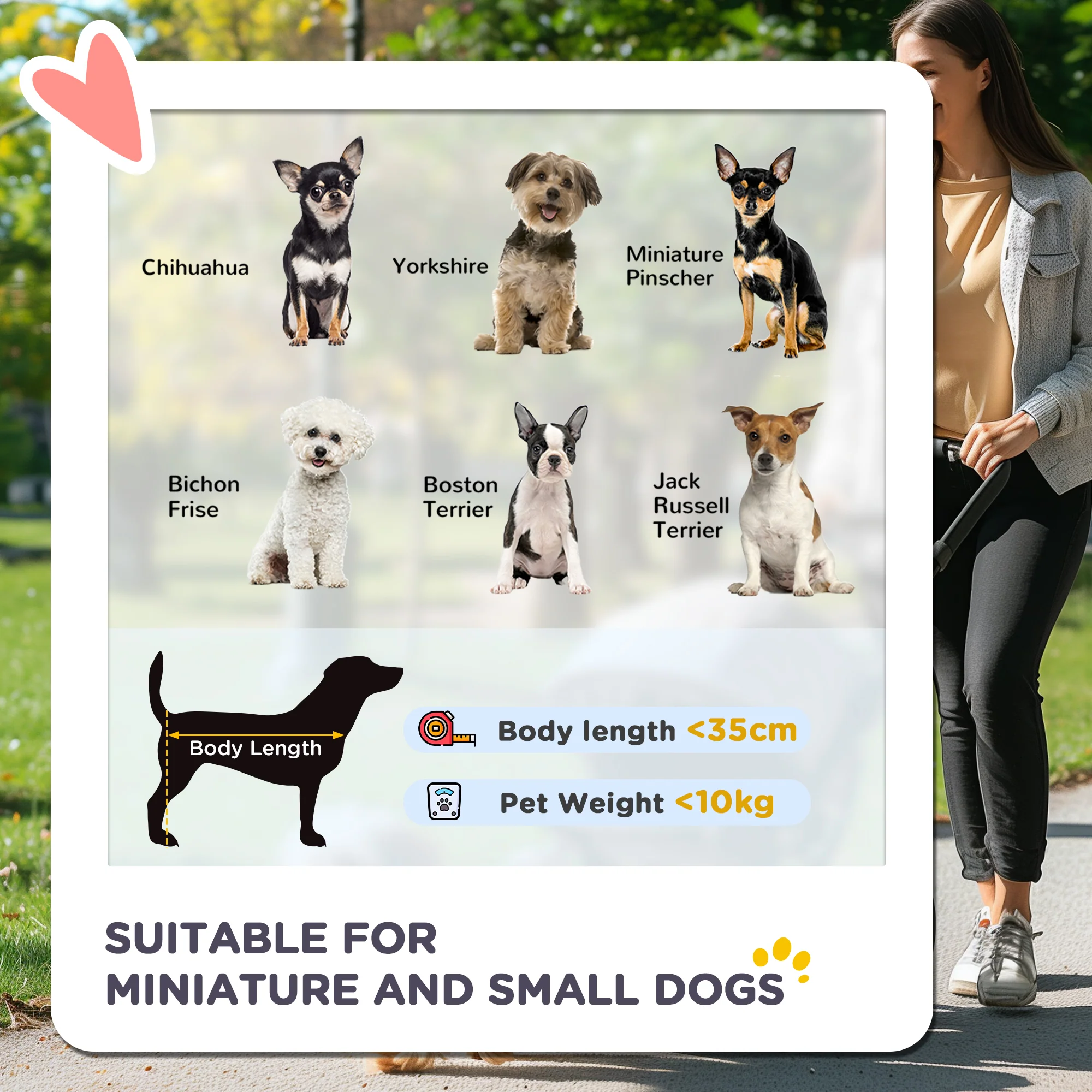 Pet Stroller - Image 3