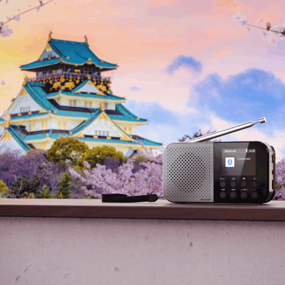 Sharp Osaka Pocket Radio - Storm Grey - Image 2