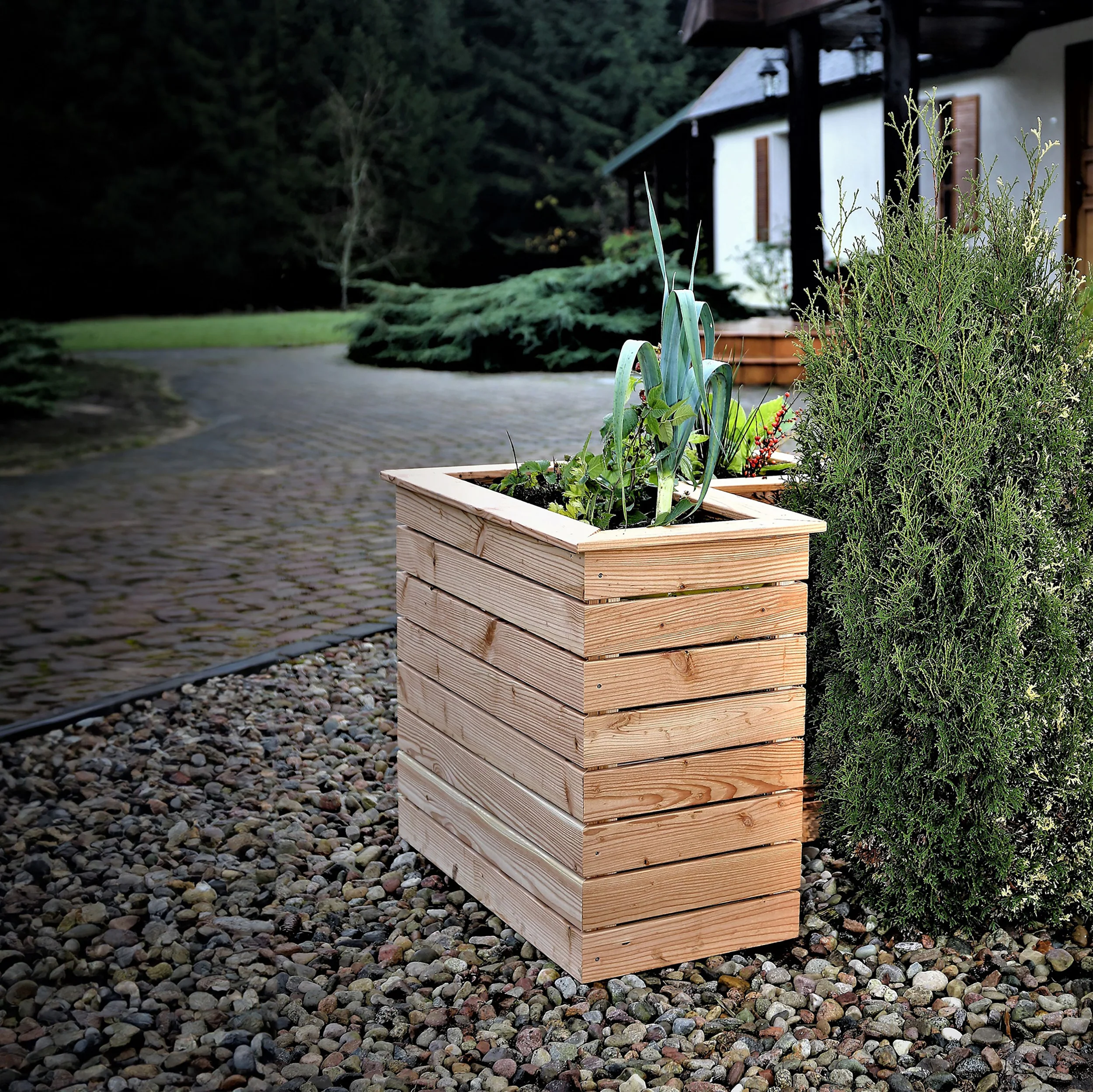 Tina Larch Planter - Image 4